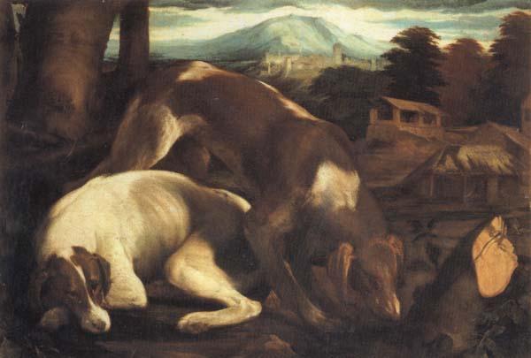 Jacopo Bassano Two Dogs oil painting picture